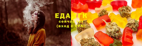 спиды Богородицк