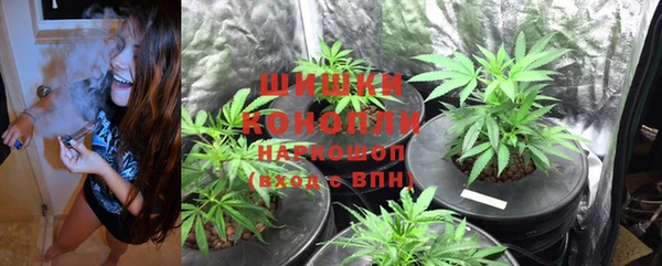 спиды Богородицк