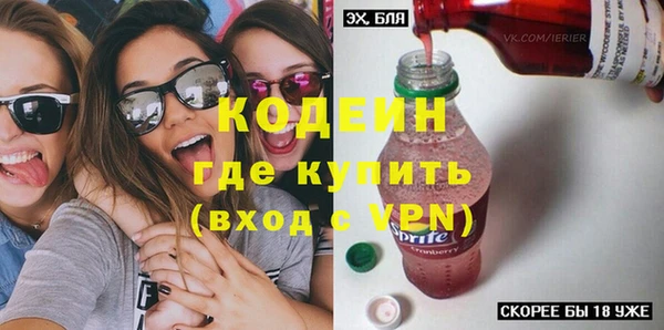 спиды Богородицк