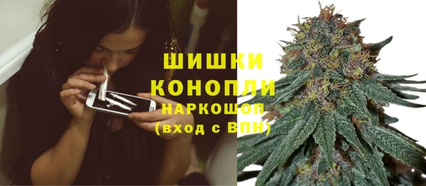 спиды Богородицк
