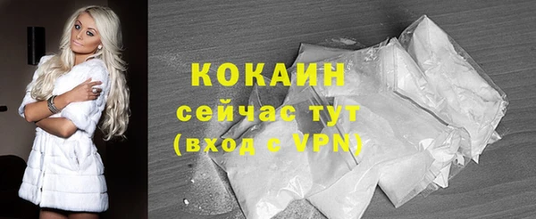 спиды Богородицк